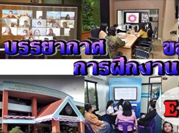 บรรยากาศการฝึกประสบการณ์นักศึกษาชั้นปีที่
4 แขนงการจัดการพัฒนาสังคม
สาขาวิชาการจัดการพัฒนาสังคมและวัฒนธรรม