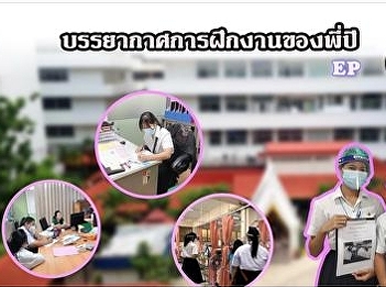 An ambiance of the internship of the 4th
year students, Social Development
Management